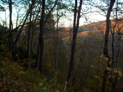 Fall colors in the Spivey area 
Photo by Rat during trail maintenance trip 
10-20-2009
