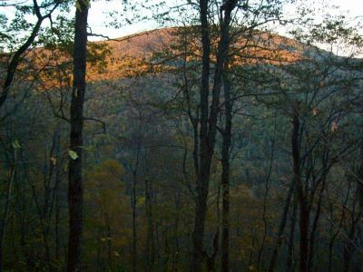 Flattop Mountain
Fall color on Flattop 
Photo by Rat
10-20-2009

