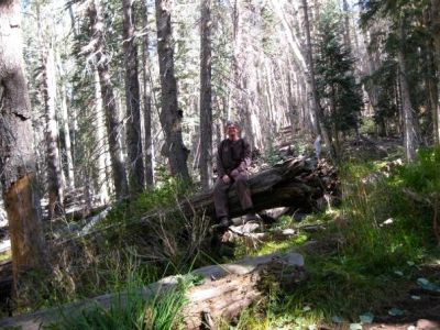 Climbing Humphreys Peak
Aspen trees on the trail,
9-09
