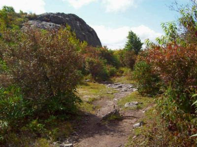 Grayson Highlands
Awesome trail over Wilburn Ridge; note the ripened blueberry bushes along the corridor.
9-09  

