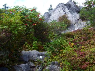 Grayson Highlands
Rocky climb over Wilburn Ridge on the way to Mount Rogers (day 3 of trip).
9-09
