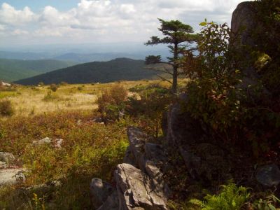 Grayson Highlands
View from place where we took a break on Wilburn ridge,
9-09
