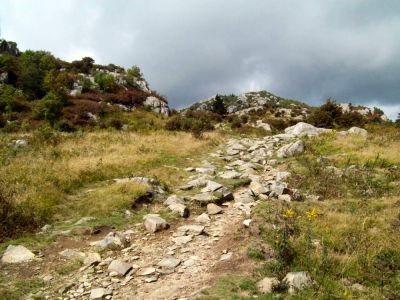 Grayson Highlands
Rocky trails on Wilburn Ridge,
9-09

