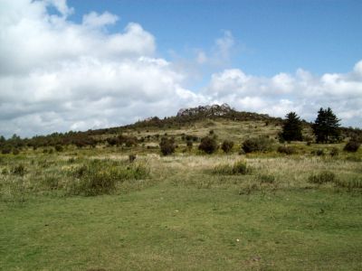 Grayson Highlands
Craggy place on Wilburn Ridge
