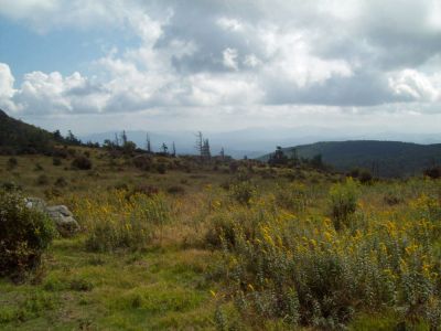 Grayson Highlands
More views from the meadows.
Photo by Rat
9-09
