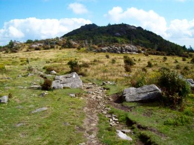 Grayson Highlands
Sweet Trail...
9-09
