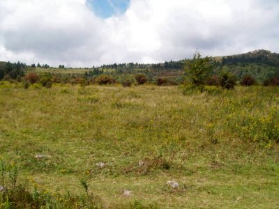 Grayson Highlands
More views of the Highlands of SW Virginia.
9-09
