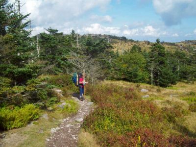 Grayson Highlands
Looking back on what we just hiked over.
9-09
