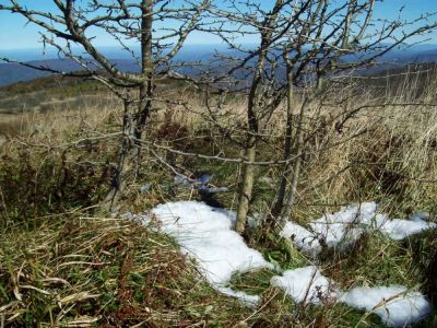 Snow on Big Bald 
Photo by Rat
10-20-2009
