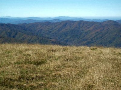 View from Big Bald (taken on work trip 10-20-2009)
