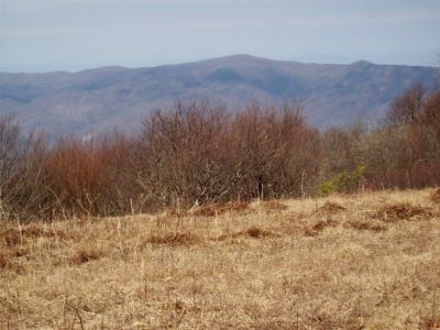 Big Bald 
Photo by Rat
3-10-2009
