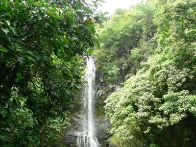 Falls in Hawaii
Photo courtesy of Dave Aldridge
