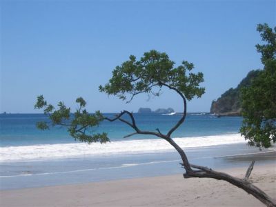 Costa Rica Beach View
 Photograph  by Lisa Lemmons-Powers
