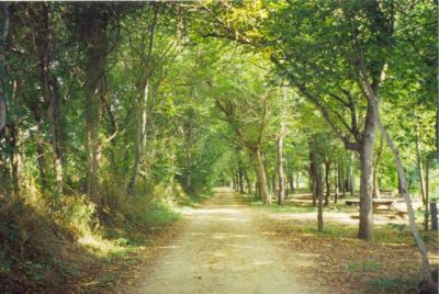 Picnic Grounds
Photo by Lisa Lemmons-Powers
