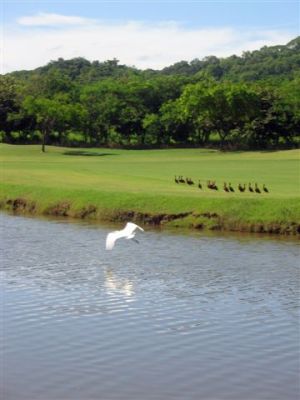  Photograph  by Lisa Lemmons-Powers
