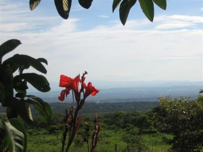  Photograph  by Lisa Lemmons-Powers
