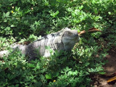  Photograph  by Lisa Lemmons-Powers
