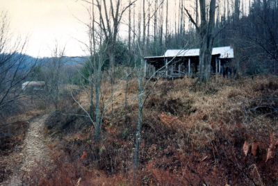 One of Several Houses in Lost Cove
Photo taken by RAT sometime in late 1980`s
