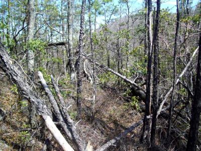 Meatgrinder Ridge
yeah, this was our trail that day !
