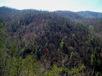 View From Sill Branch Overlook
The 'Middle Ridge'
Photo by Rat
