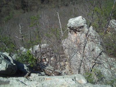 Sill Branch Overlook
Giant 'Bird Rock'
