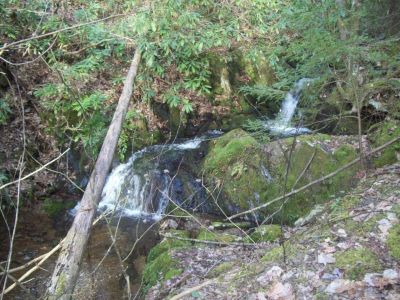 Cascades 
on Sill Branch
photo by Rat
