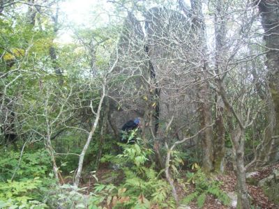 crack rock 
Rat saying no to crack
