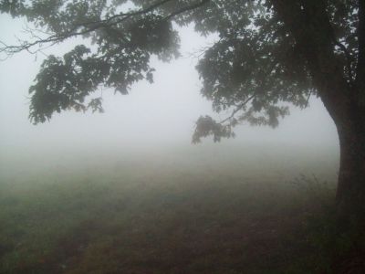 morning day 3
stormed and rained bigtime, much colder and white out next day (this is looking way we came)
