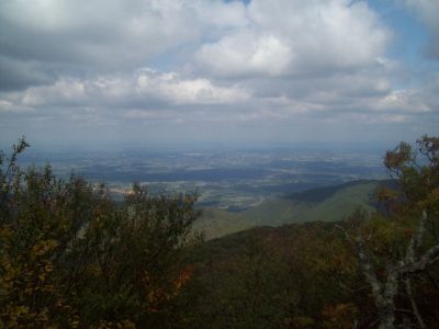 Rat's Birthday Hike of '08
Fire-scald Ridge 
more views from ridge looking to TN
