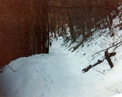 Snow trekking in Rocky Fork 
Bol'Dar...
