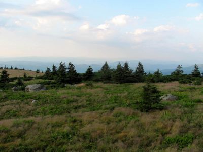 View From Grassy Ridge
Roan Mountain
Photo by RAT 
7-11-2010
