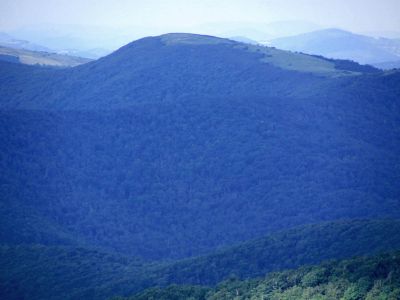 View From Grassy Ridge Trail
Roan Mountain
Photo by RAT 
7-11-2010
