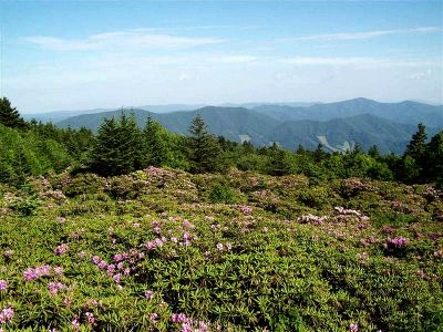 Rhodo Gardens
Taken 6-24-09

