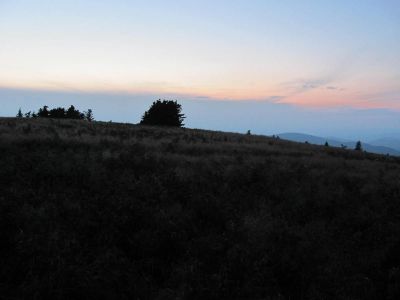 View From Grassy Ridge
Roan Mountain
Photo by RAT 
7-11-2010
