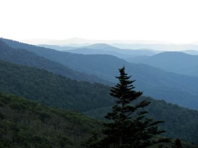 View From Grassy Ridge
Roan Mountain
Photo by RAT 
7-11-2010
