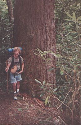 Bol'Dar aka Dr. Duct tape
Dr. Duct Tape beside a large pine on No Business Knob section of the A.T.

