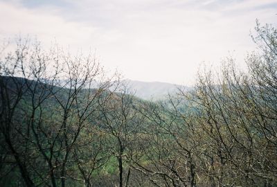 Jones Branch Lookoff Cliff
Views.
