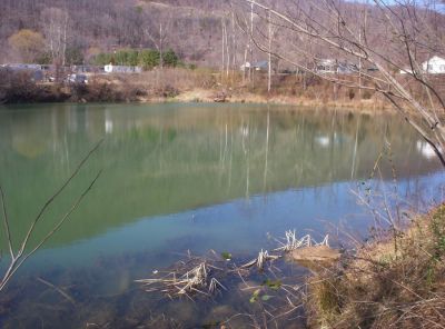 Loch Ness Turtle pond
