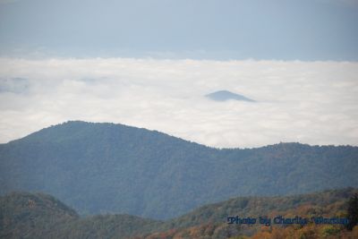 Among the Clouds on Roan Mountain.
Photo taken by Charlie Warden
