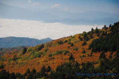 Fall on Roan Mountain
Photo taken by Charlie Warden
