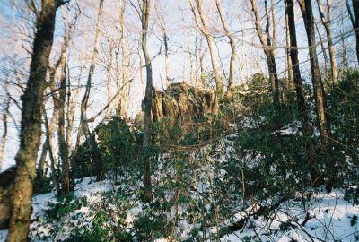 Shinbone Rock
Close up of Shinbone Rock branching off Sugarloaf  ridge March - 2009
