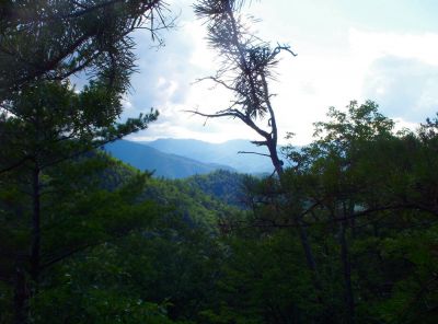 View of Nolichucky River Gorge and Mountains
...as seen from the Big Rock outcropping near Curly Maple Gap
