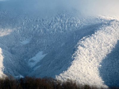 Unaka Mountain frozen
Taken by RAT 2-18-2010

