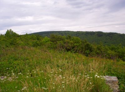 View of the Summit of Unaka Mountain
...as seen from the 'Pleasant Gardens' (the Overlook) 
