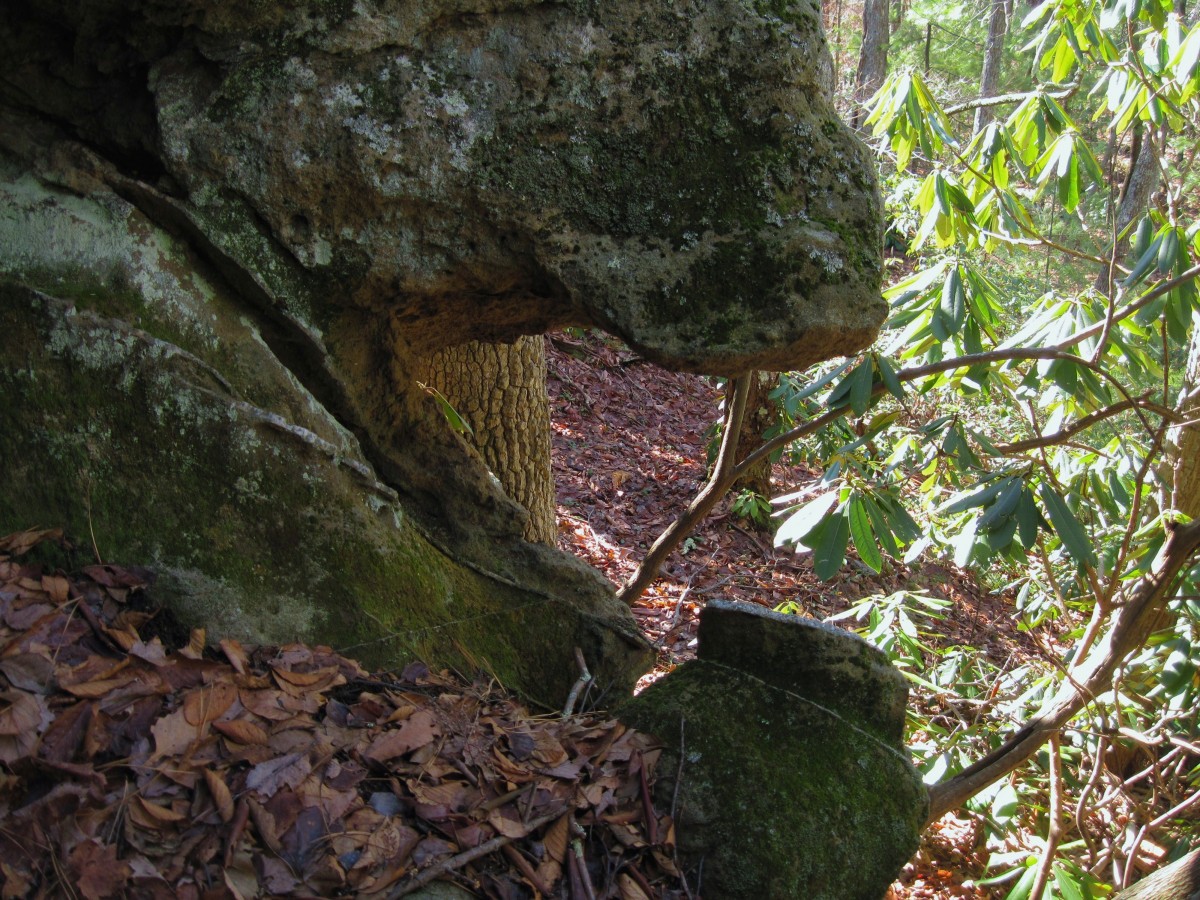 6405,_wild_geology_on_Buzzard_Roost_Ridge,_2-19-11.jpg