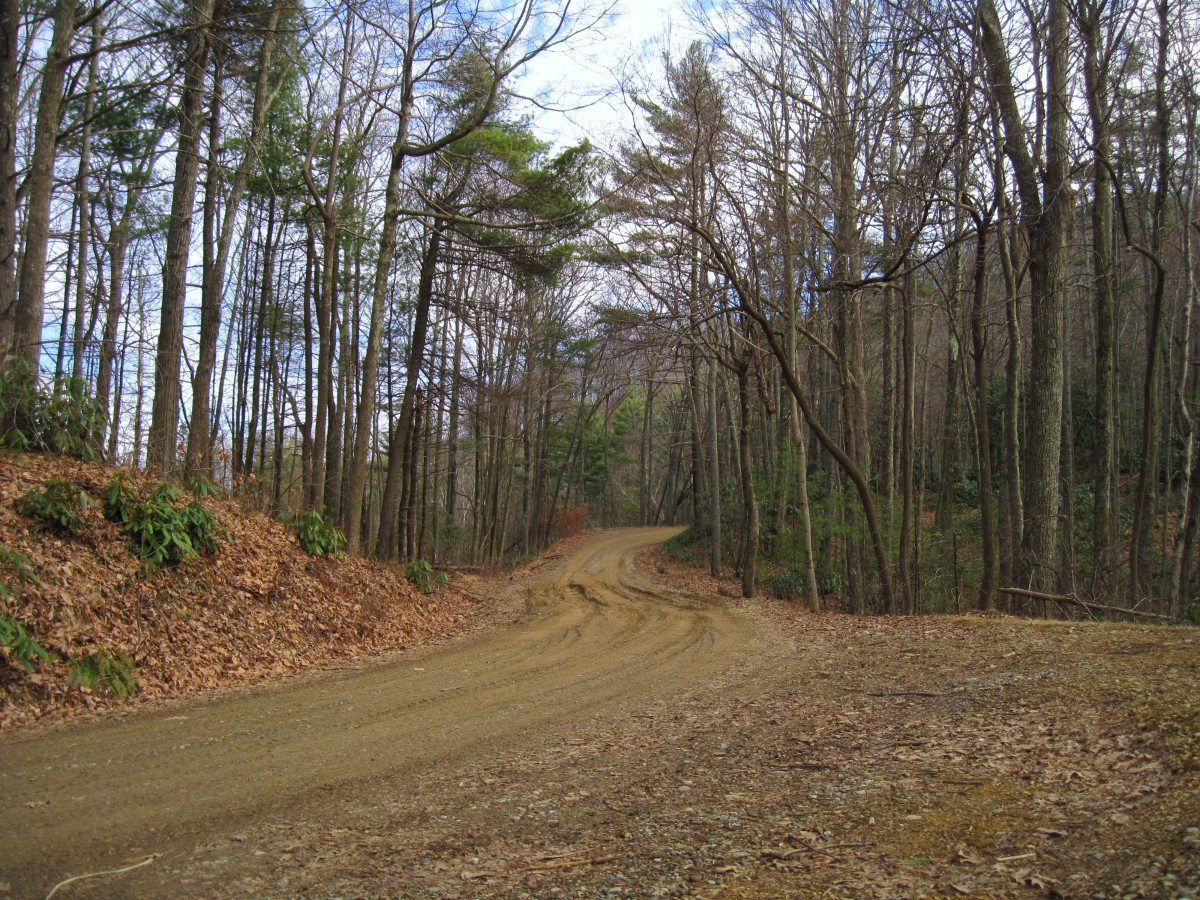 6611,_road_crossing_at__Hurricane_Gap,_2-19-11.jpg