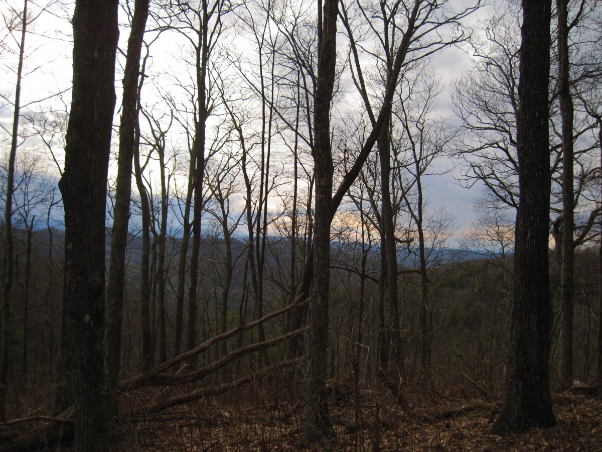 6714,_view_from_Spring_Mnt,_2-19-11.jpg