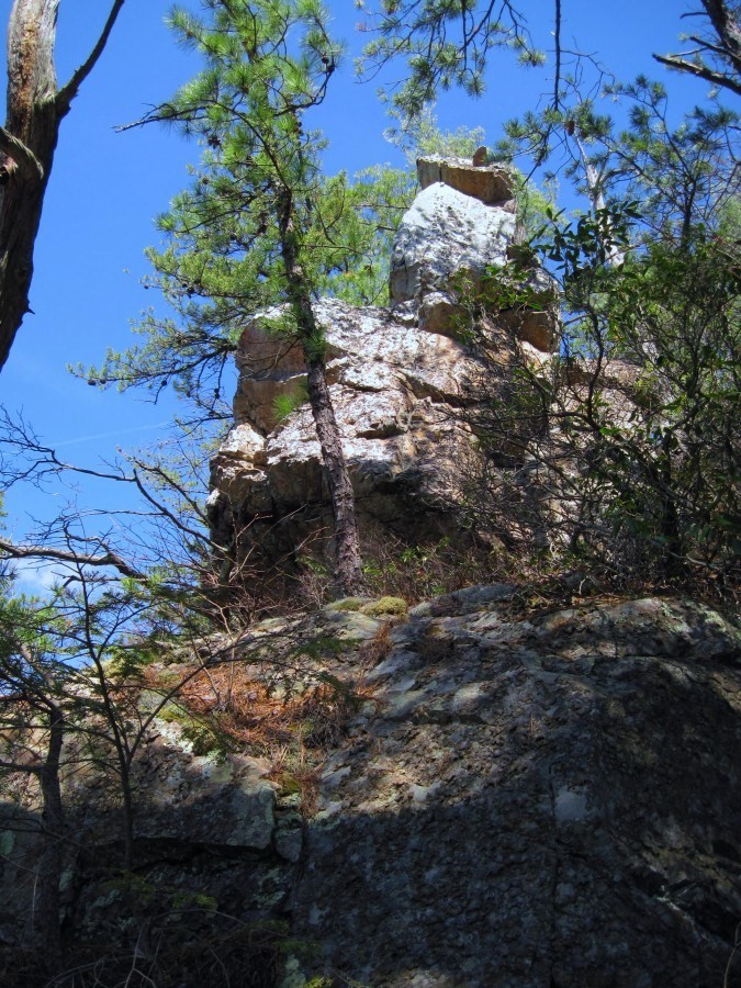 8042,_Jones_Branch_Overlook,_3-19-11.jpg