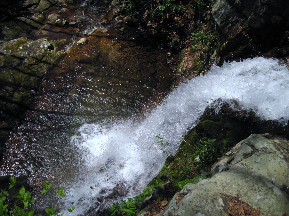 8980,_Gentry_Creek_Falls,_4-30-2011.jpg