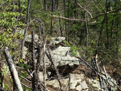 Sill Branch Overlook
...another 'Monkey-Head Rock',
3-19-10
